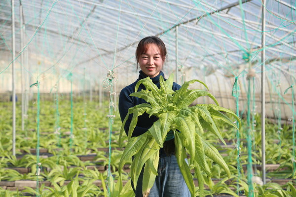 百事 x 妇基会：相依为水，企业公益联动打造乡村振兴"中国方案"