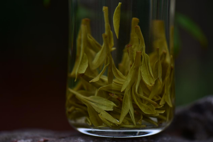 喝不起的明前茶，上不了IPO的茶企