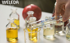 绿色有机美容护肤品牌WELEDA：一个世纪的零碳故事