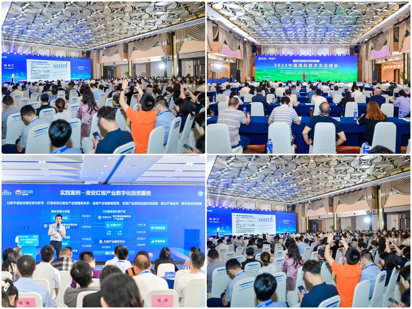 博览会3.jpg