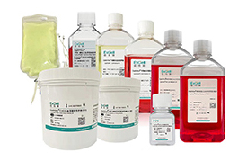 依科赛生物斩获国家十四五前沿技术重点研发项目 科研创新实力获权威认证