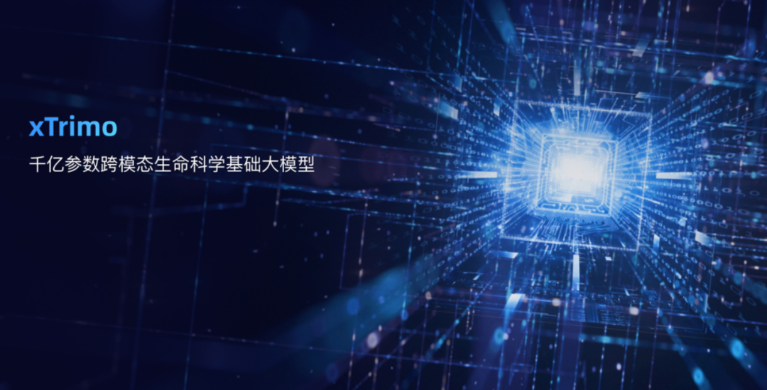 百图生科3.png