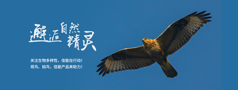 EOS聚合页轮播图-PC端1900-720.jpg