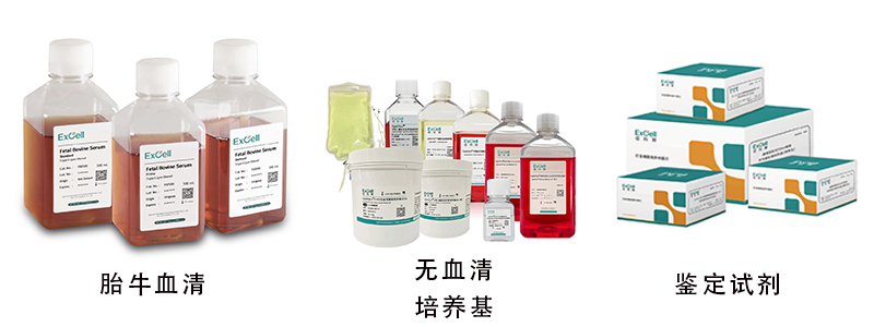 1761027052347128.jpg 未标题-1.jpg