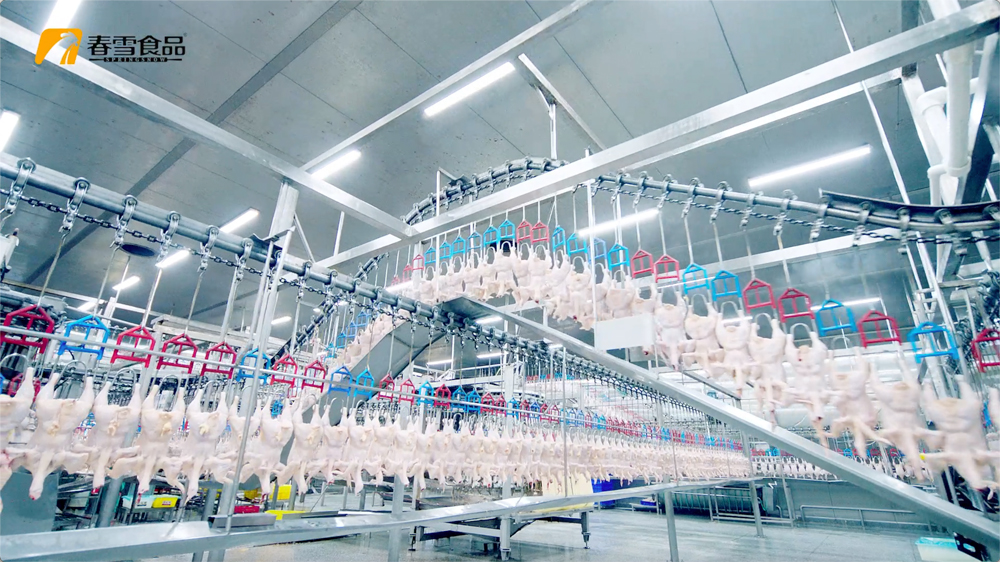 1763445351619084.jpg 微信图片_20251118135349_451_14.jpg