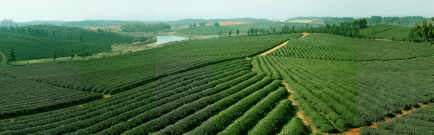 1764743342793964.jpg 微信图片_20251203141738_673_34.jpg