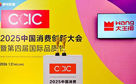 价值创新引领家居消费，大王椰荣膺2025中国消费创新大会两项大奖