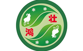 CFS第十五届财经峰会上海举办 携手鸿壮农牧共享发展新机遇