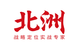 CFS第十五届财经峰会上海举办 携手北洲战略咨询共享发展新机遇