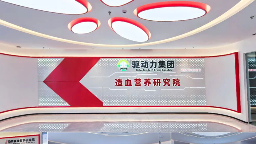 第五届国际绿色零碳节上海举办 携手驱动力集团共赴零碳未来