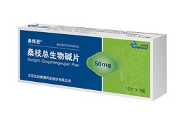STIF第七届国际科创节1月举办 携手五和博澳激发新质生产力